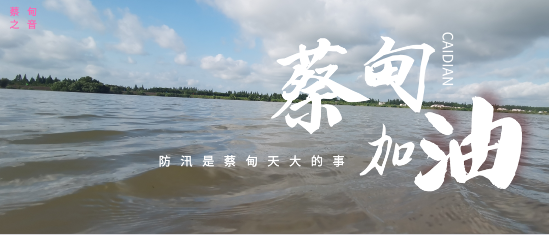蔡甸區(qū)啟動防汛ⅰ級應急響應，做好鋪土釘防汛木樁工作