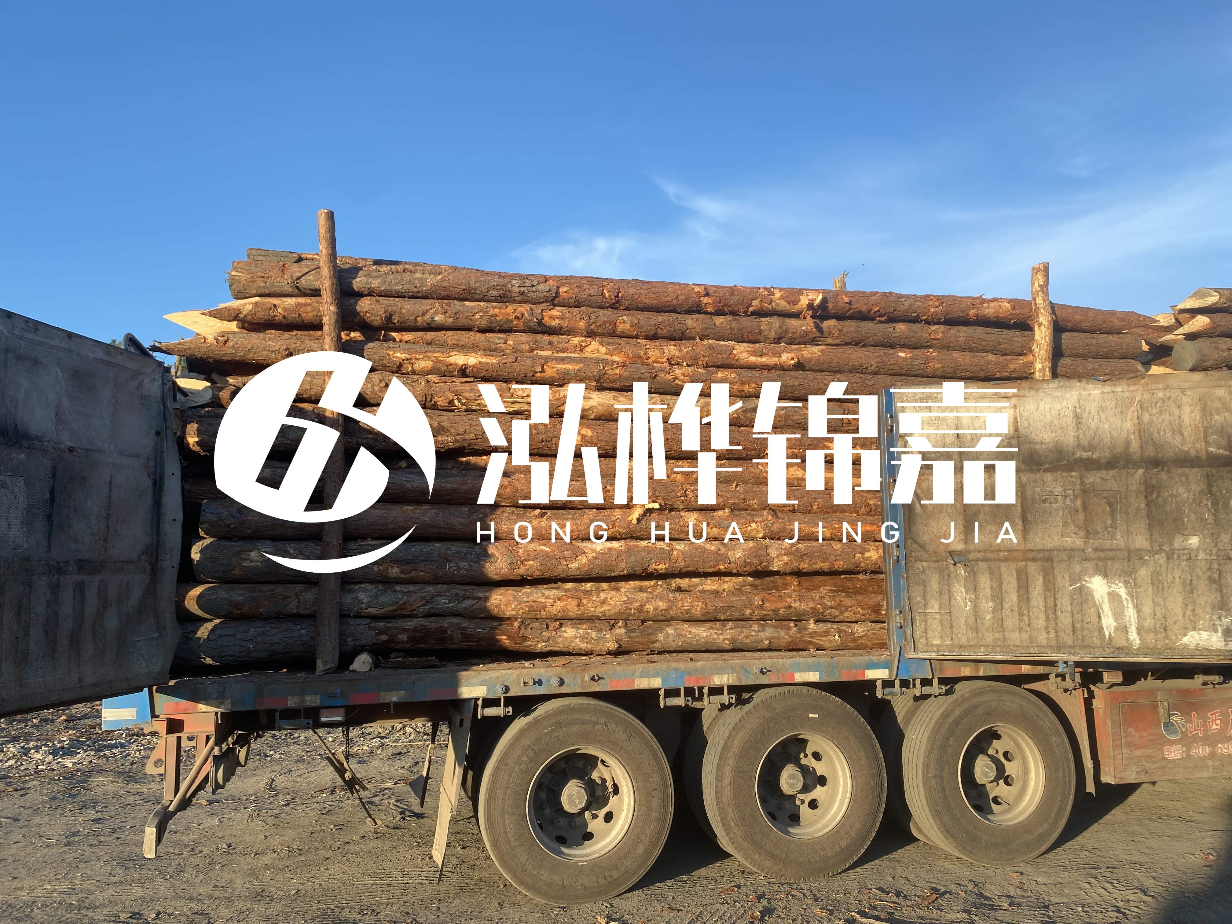 河道治理為什么要用松木樁？