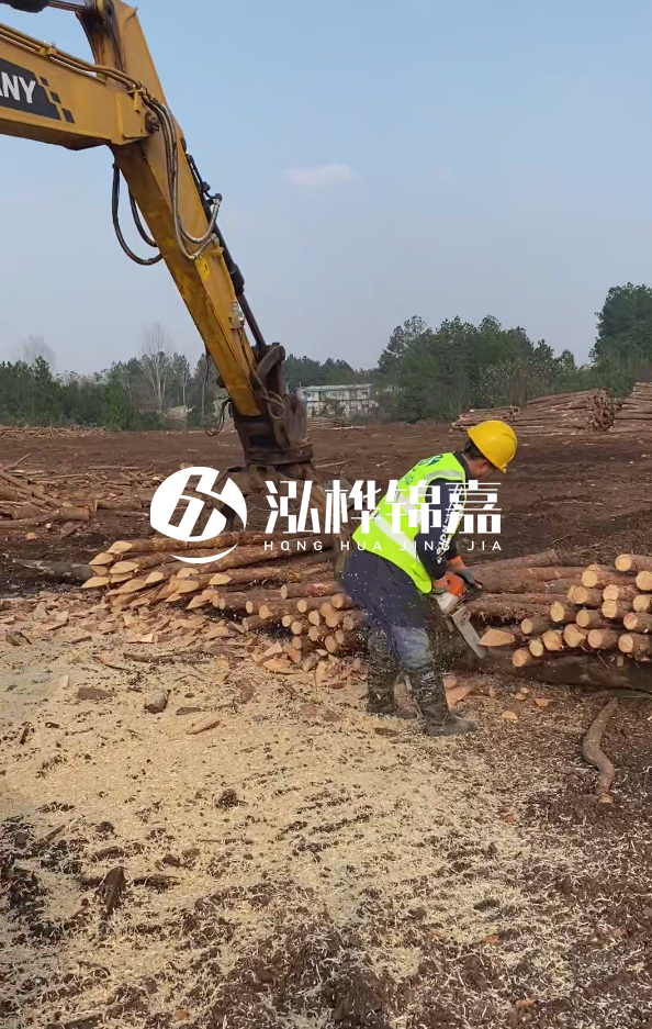 銅陵挖機(jī)打木樁專業(yè)施工-打松木樁一般算米還是算根？