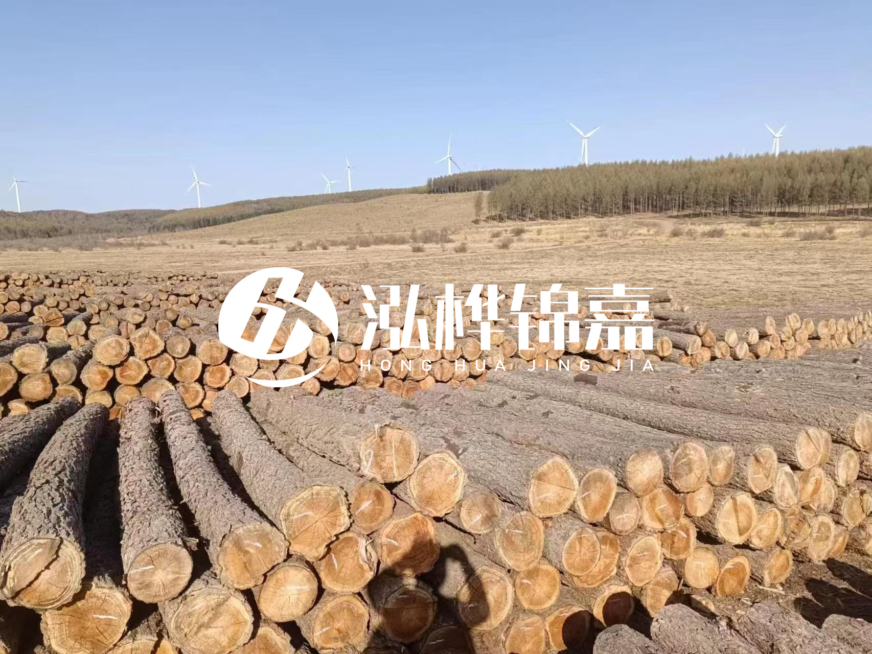 咸寧松木樁源頭廠家-哪里能買到質(zhì)量好的松木樁打樁木？