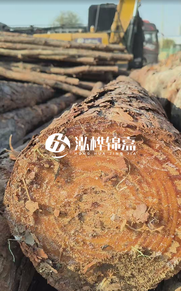 杉木樁價(jià)格多少錢一方-3米直徑14公分杉木樁價(jià)格？