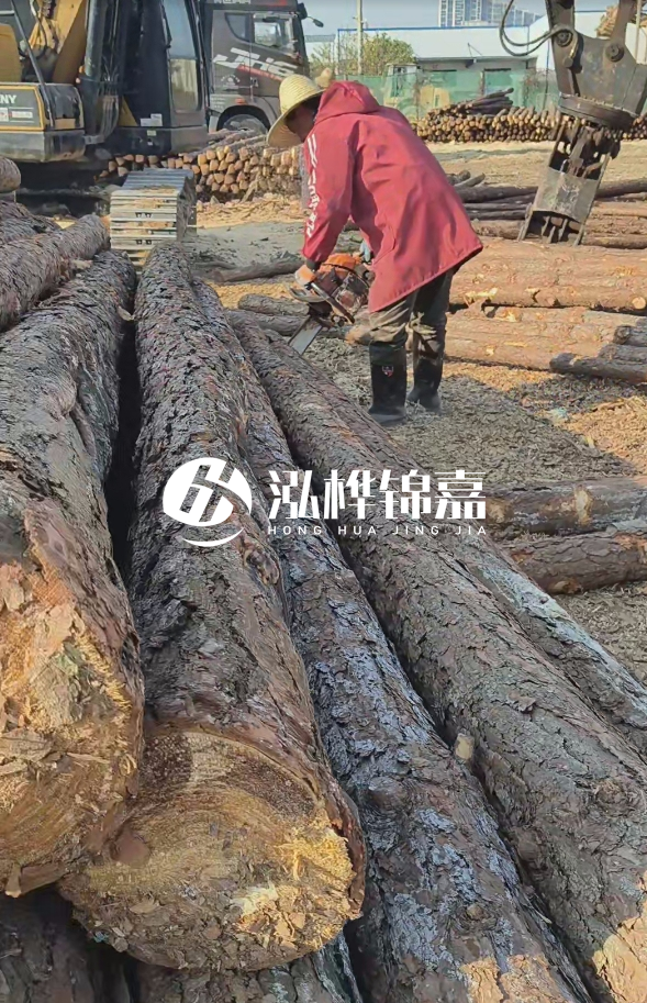 長沙打樁木批發(fā)廠家在哪里？聯(lián)系方式是什么？