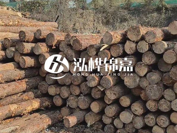 落葉松木材的主要產地在哪里？為什么比其他松木更耐腐蝕？