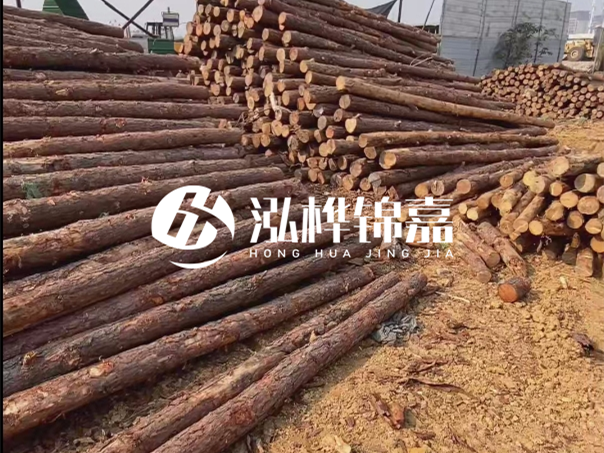 河道木樁施工遇到淤泥怎么辦？打多深才能防沖刷？