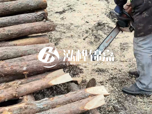 杉木樁批發(fā)廠家哪家好？產(chǎn)地直供渠道推薦！