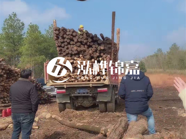 松木樁價格是按米算還是按根算？6米松木樁批發(fā)價每根多少錢？