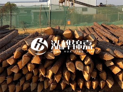 松木樁6米15cm打樁多少錢一根-專業(yè)打木樁隊聯(lián)系電話？