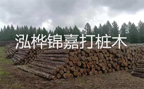 選擇紅磚護(hù)坡，打造獨(dú)特的美麗景觀
