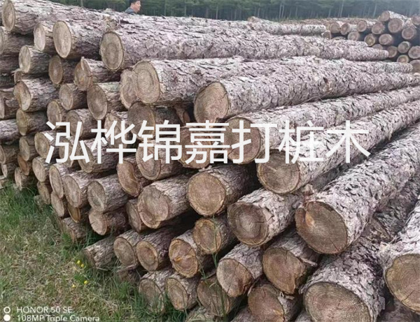 高效修補(bǔ)，保駕護(hù)航！水泥路面高強(qiáng)度修補(bǔ)料為您解決煩惱！