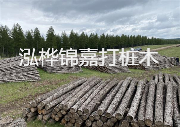 鋼結(jié)構(gòu)施工方案大全免費(fèi)提供，助力工程建設(shè)