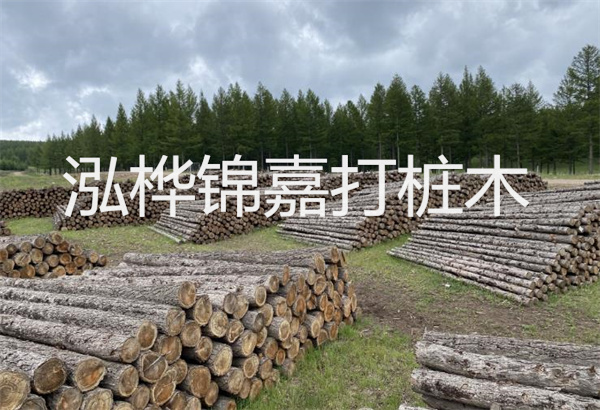 預(yù)制松木樁施工工藝：優(yōu)質(zhì)材料，高效快速，堅(jiān)固耐用