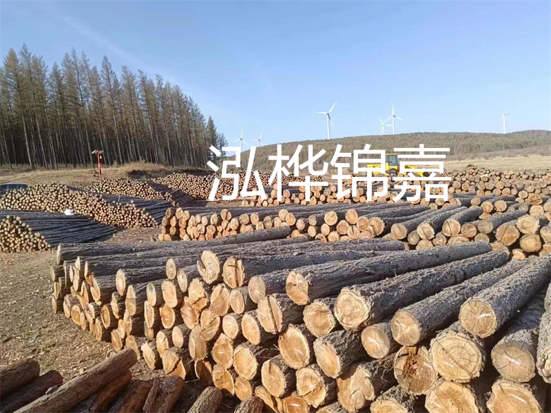 用路基松木樁施工方案提升工程質(zhì)量描述：了解路基松木樁施工方案的重要性，提高工程質(zhì)量關(guān)鍵詞：路基松木樁，施工方案，工程質(zhì)量