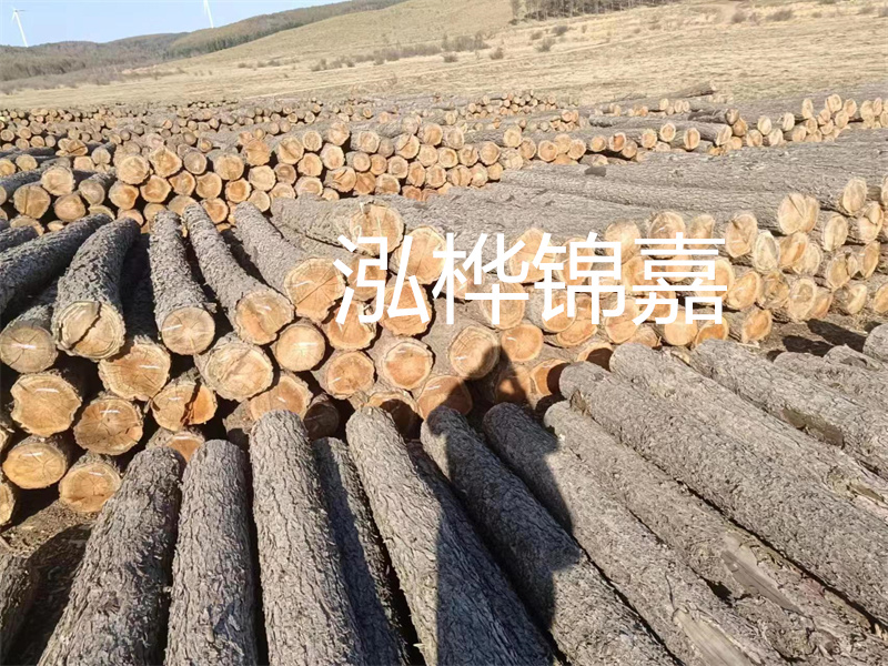 選擇合適的路緣石尺寸，打造美麗道路