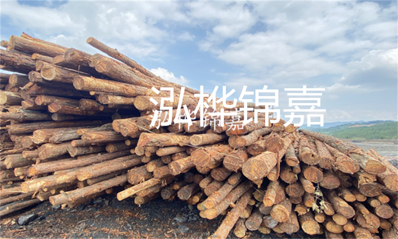 濮陽(yáng)松木樁，卓越品質(zhì)，安全可靠