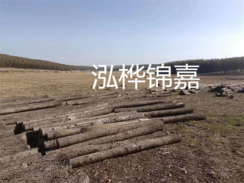 鄂州松木樁哪里好？推薦泓樺錦嘉松木樁業(yè)！
