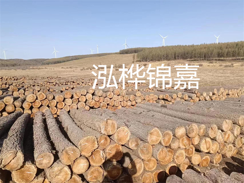 濟(jì)南哪里賣(mài)松木木樁？